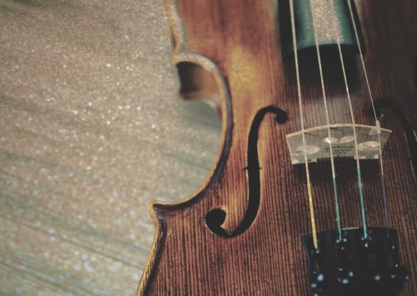 On the appeal of the Cremonese violin