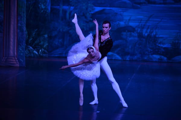 Swan Lake at the NCPA