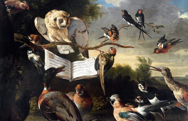 Music and Nature: An Intricate Symphony