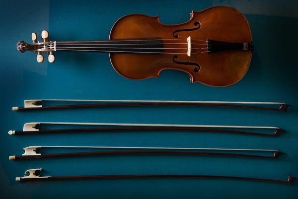 Bowing Brilliance: A Violinist’s Guide to Mastering Musical Expression